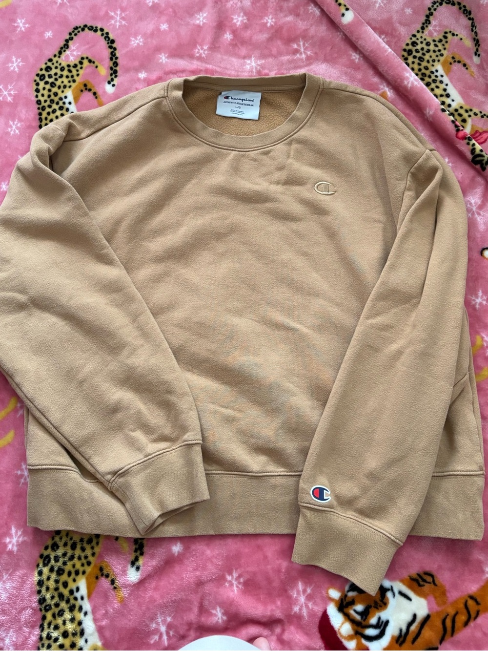 Champion Men's Crewneck Sweatshirt - Beige